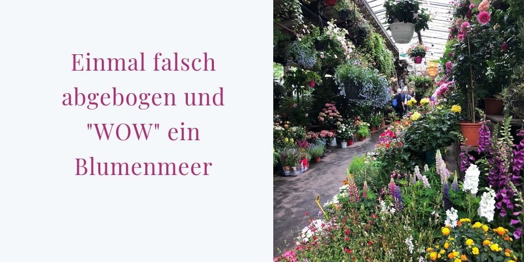 elablogt Lieblingsorte Blumen